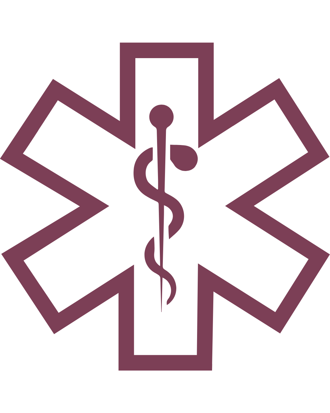 healthcare icon